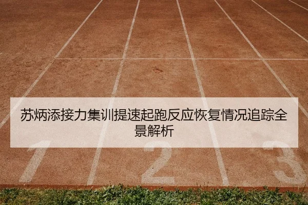 苏炳添接力集训提速起跑反应恢复情况追踪全景解析